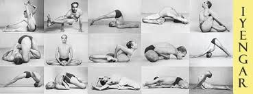 YOGA DINAMICO IYENGAR